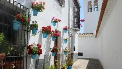 blue plant pots hanging on white wall