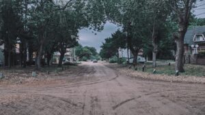 a dirt road surrounded by trees and houses